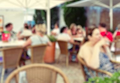 ¿Cómo te ve tu gato?